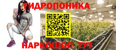 стаф Кандалакша