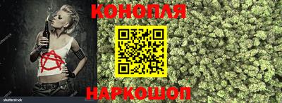 стаф Кандалакша