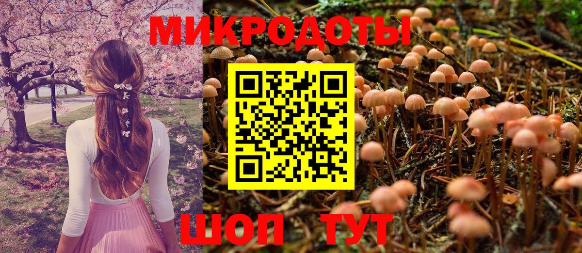 Галлюциногенные грибы мухоморы Нальчик