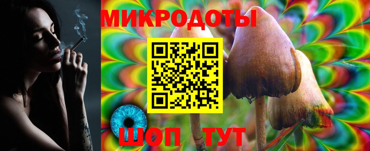  COCAIN Нальчик